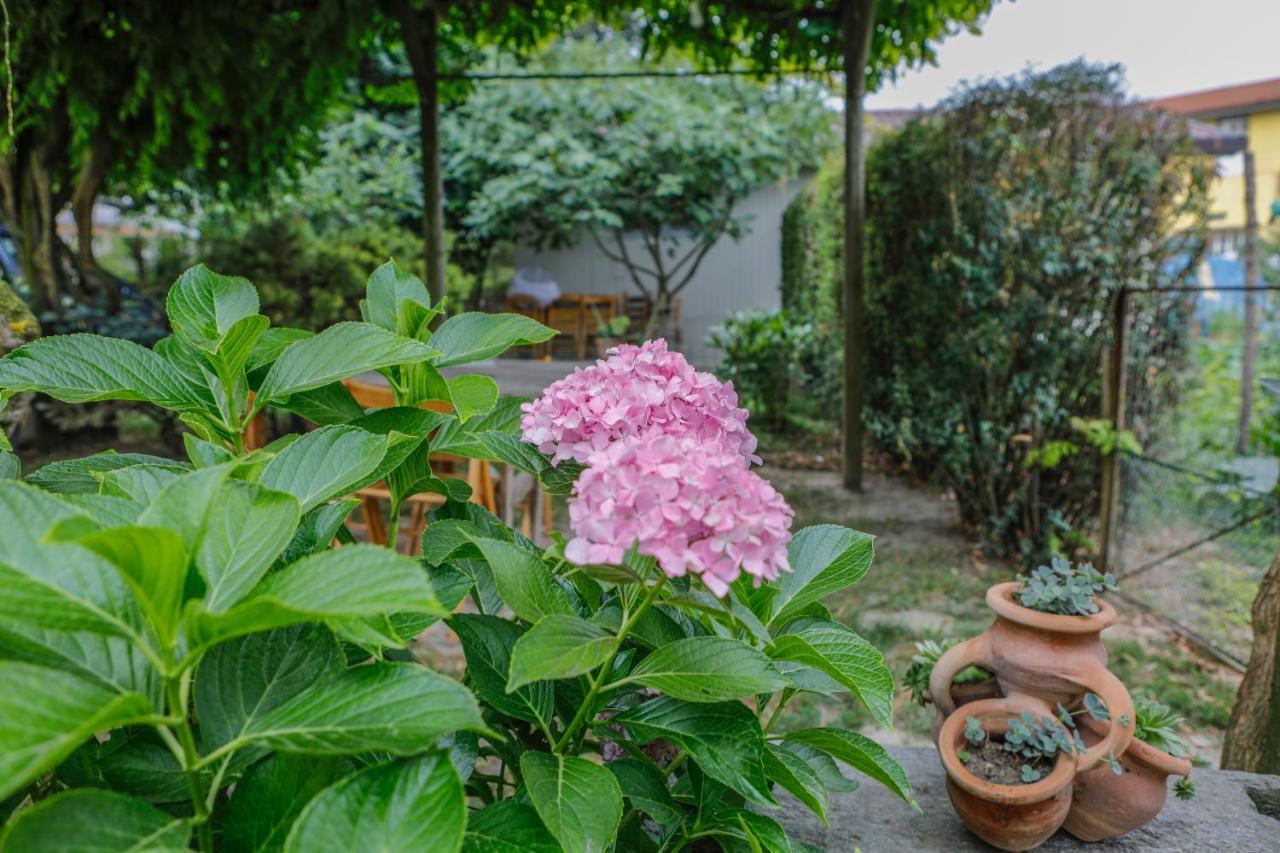 Il Germano Reale Bed and Breakfast Alba  Eksteriør billede