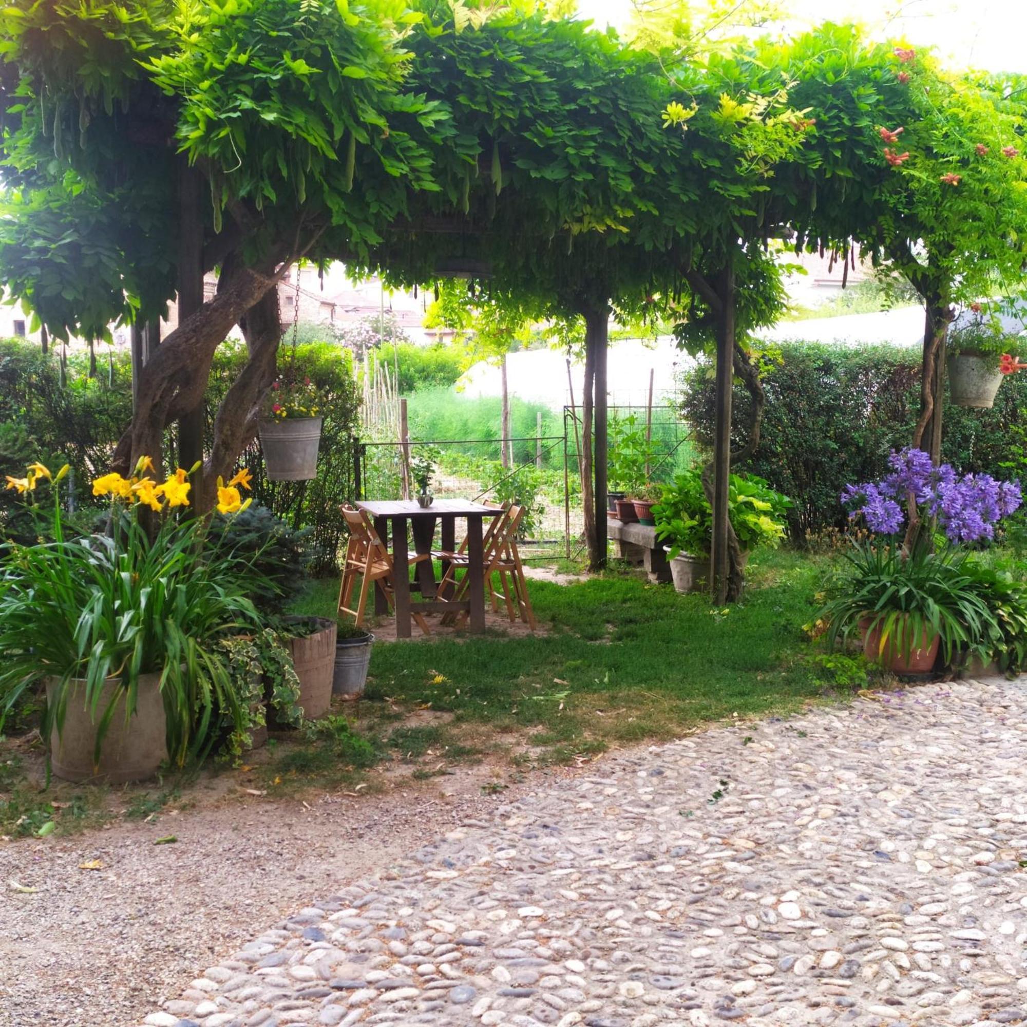 Il Germano Reale Bed and Breakfast Alba  Eksteriør billede